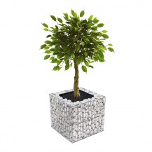 18169 - rock box - square with plant